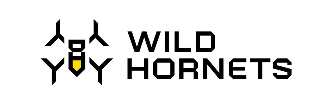 Wild Hornets | Dyki Shershni