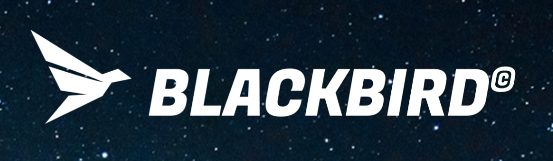BLACKBIRD WING 7